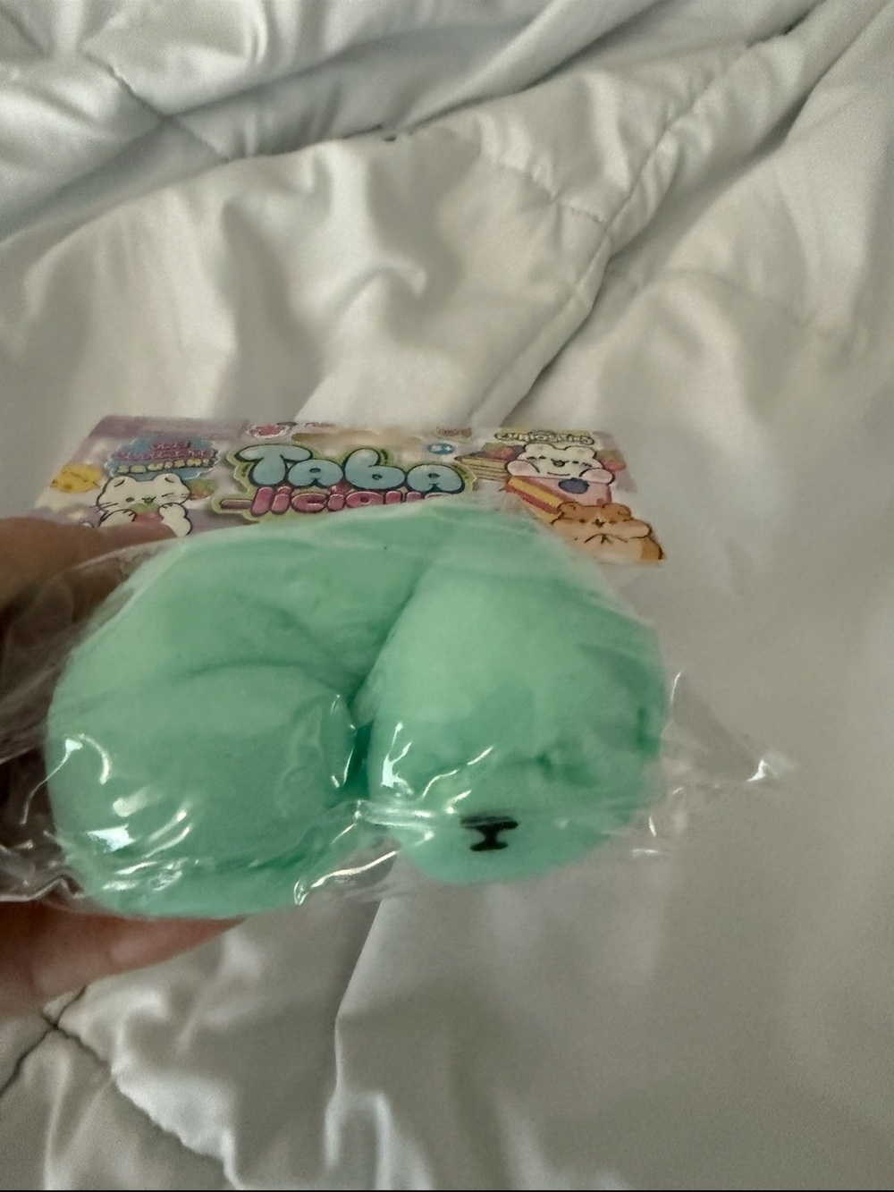 Mint Green Plush Squishy Toy